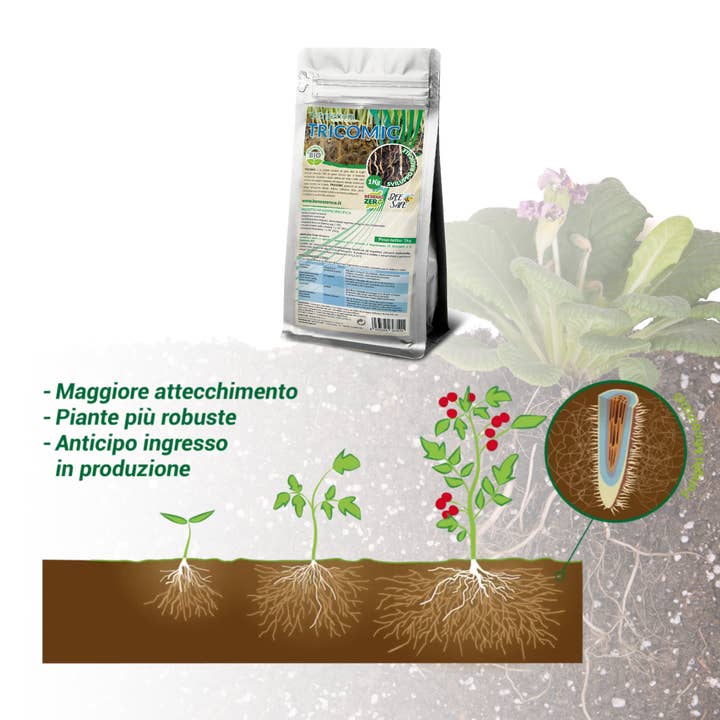 Natura srl – wholesale Fertiliser – Tricomic - Stimulates the expansion of the roots - 1 Kg