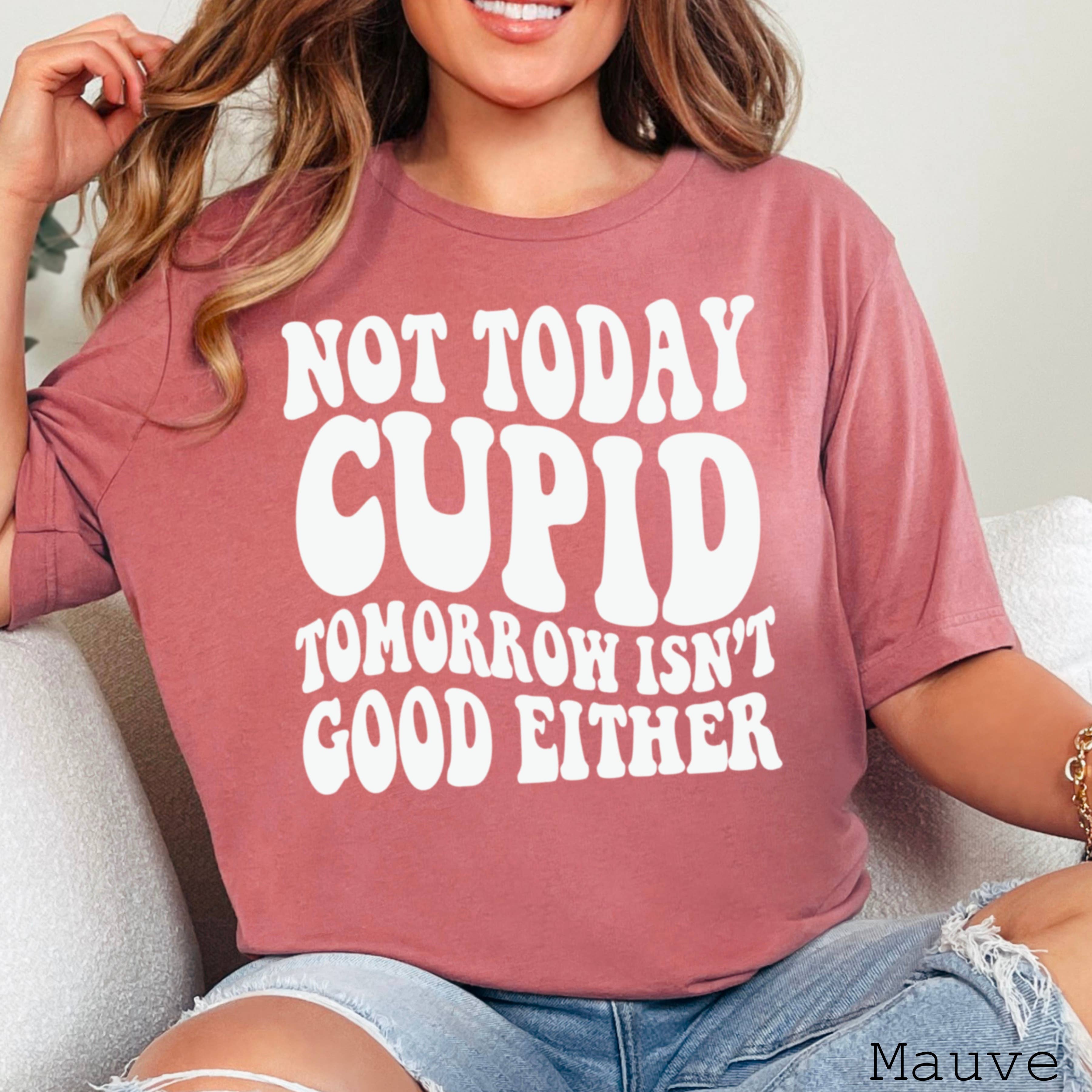 Shoppe SHC - Wholesale Screen Printed T-Shirt - Women's - Not Today Cupid Valentine's Day Graphic Tee | Bella Canvas 5