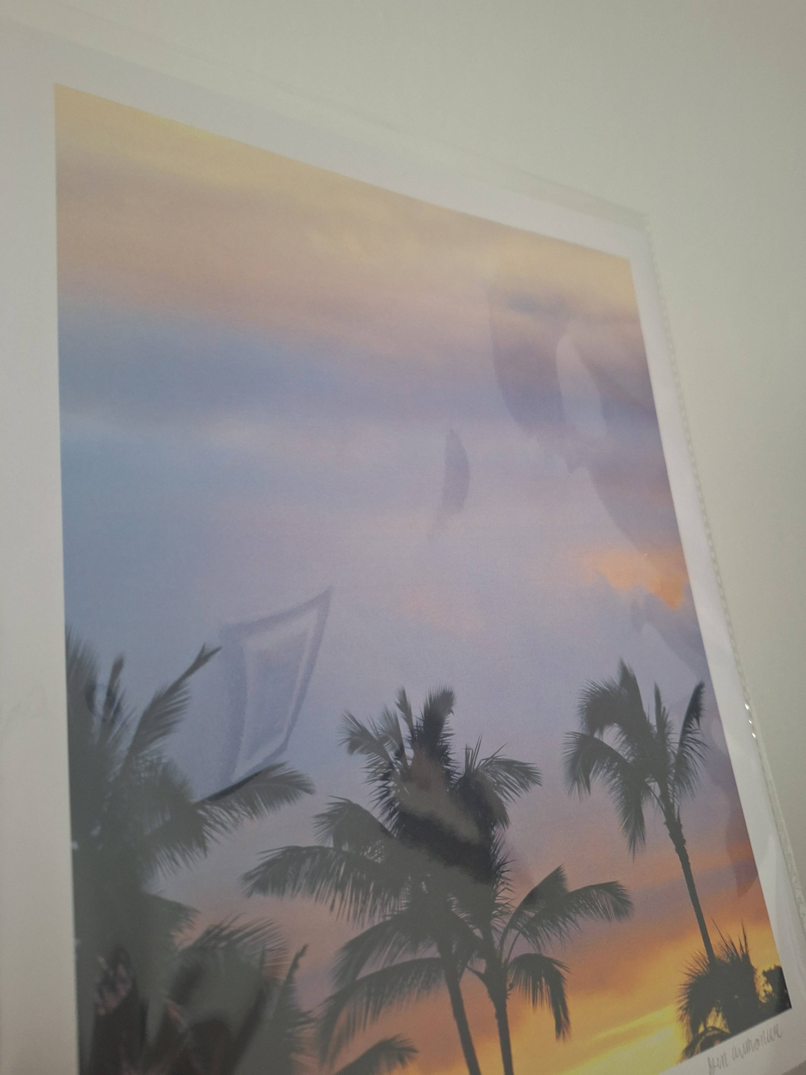 Gen Aumonier Art - Wholesale Art Print - Lavender Clouds & Palms 8"x10" Signed Photography Art Print6