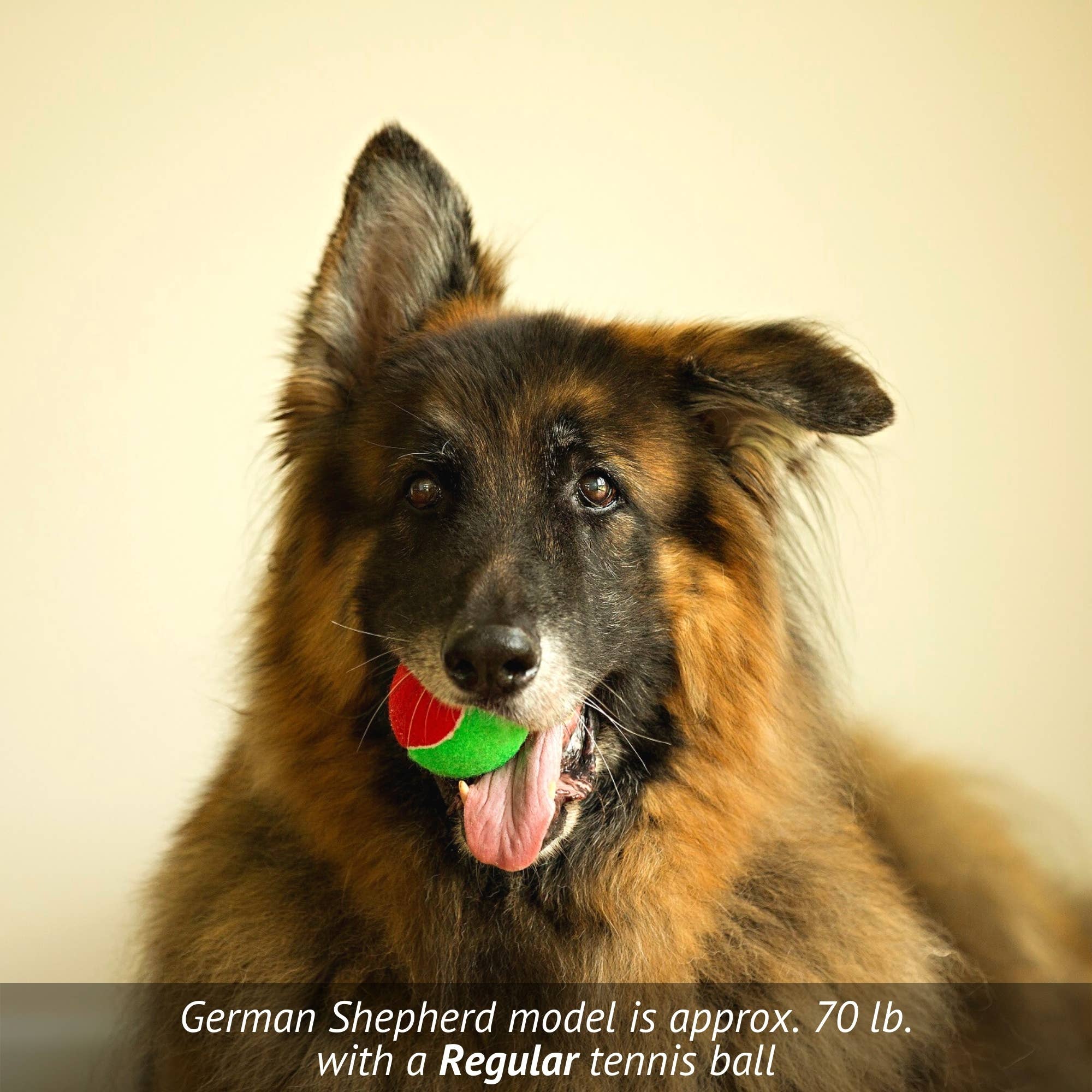 Midlee Designs - Wholesale Pet Fetch Ball - Dog - Midlee Merry Christmas Dog Tennis Balls3