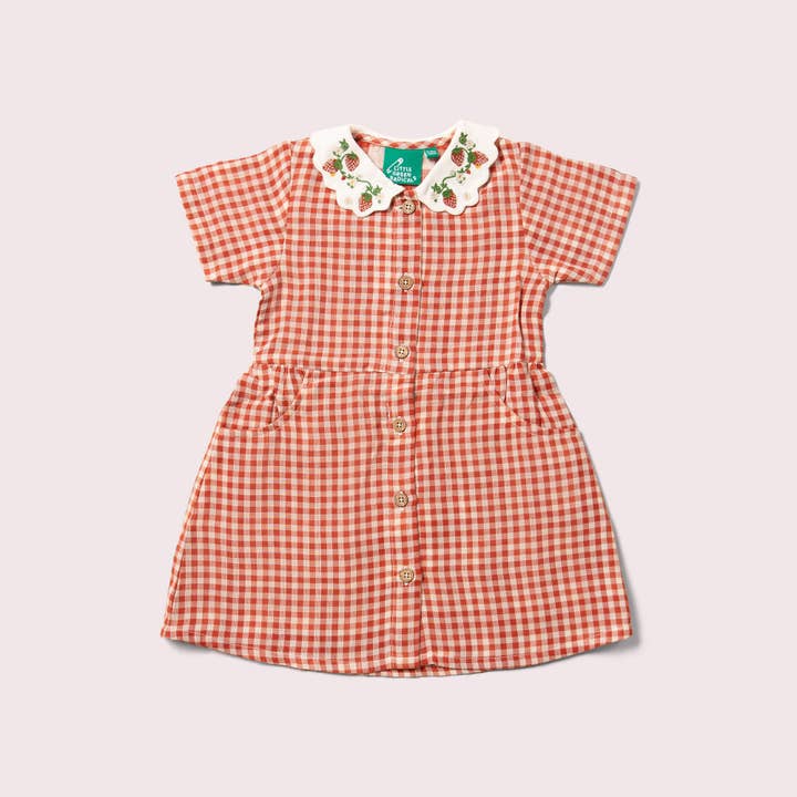 Little Red Check Button Through Short Sleeve Dress for wholesale on Faire