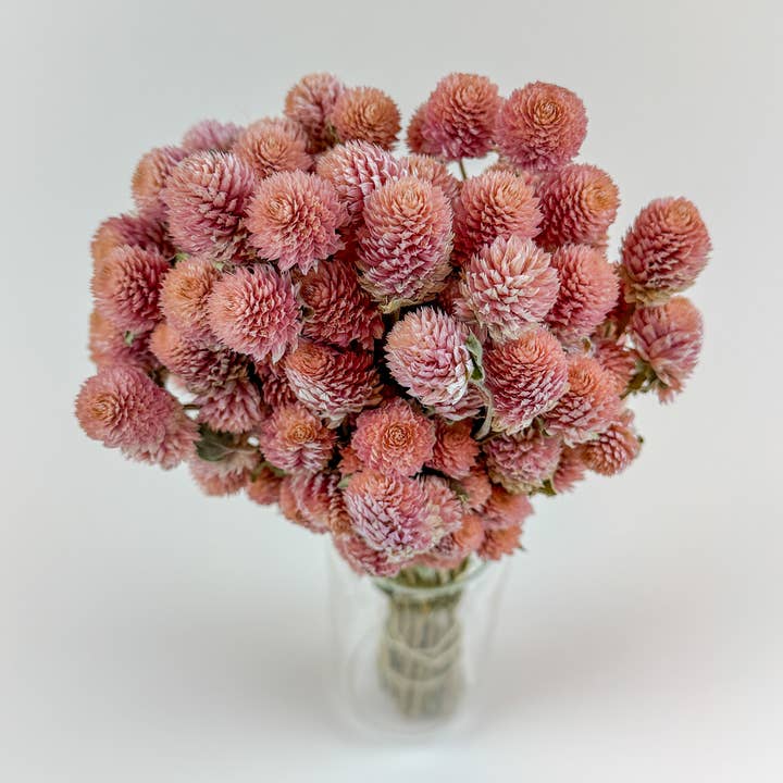 Lovejoy Farms Premium Dried Flowers - Wholesale Dried/Pressed Flowers - Rose Pink Globe Amaranth - Naturally Dried Flowers1