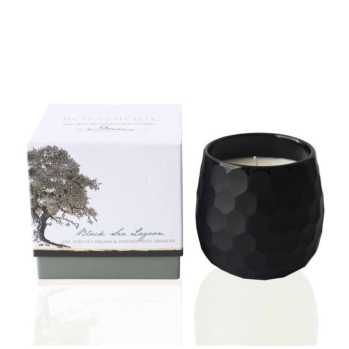 Andaluca - Wholesale Jar/Filled Candle - Botanique Luxe 16 oz Black Candle12