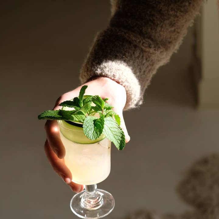 WithCo Cocktails - Wholesale Cocktail Mix/Syrup - Hey Girl Mix (Cucumber, Mint, Lime)3