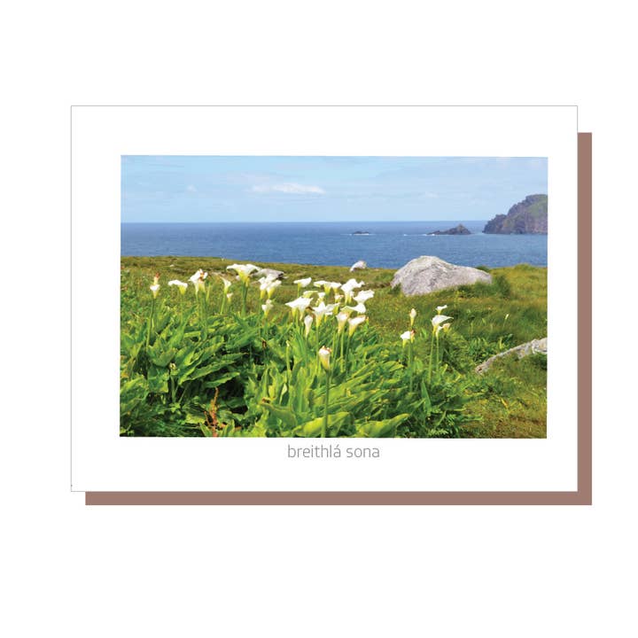 Breithlá Sona - Tarjeta de cumpleaños irlandesa - Hecho en Irlanda para venta al por mayor de Irish Greeting Cards by Catherine Dunne