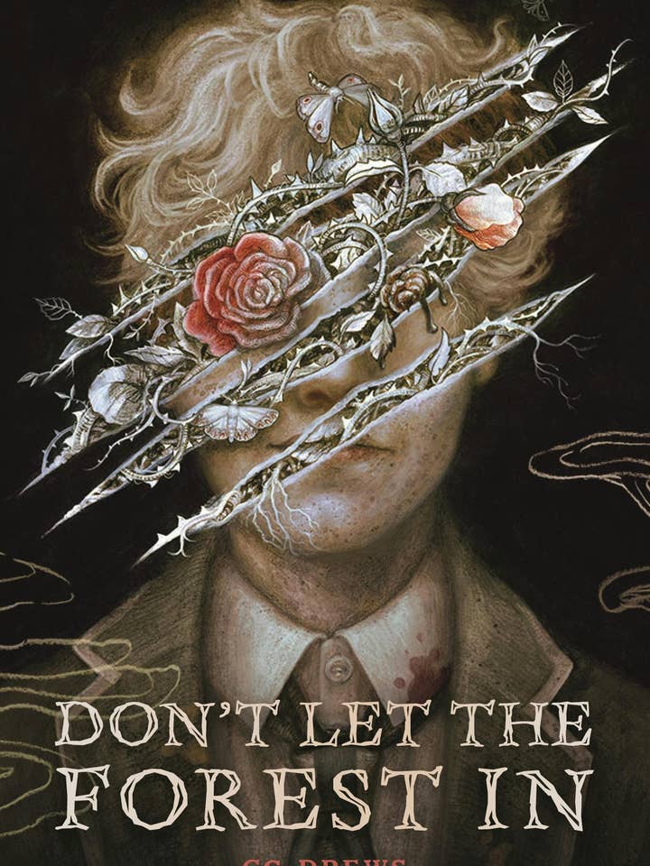 Don't Let The Forest In for wholesale by Macmillan Publishers