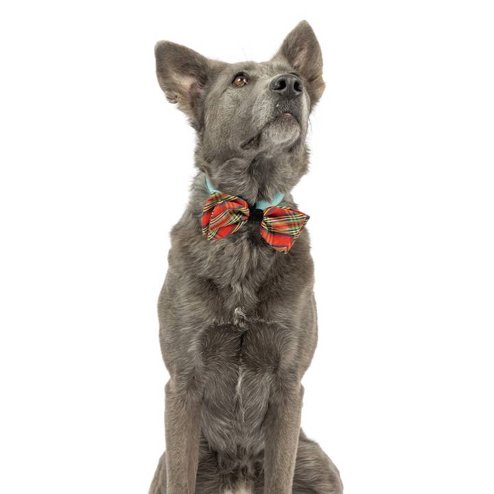 Huxley & Kent - Wholesale Pet Bow Tie - Cat/Dog - Shiny Christmas Plaid Bow Tie2