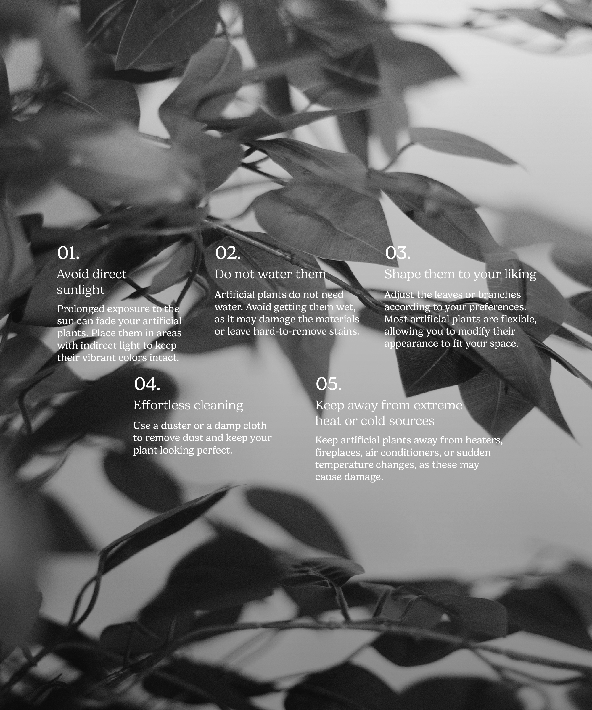 Maia Shop - Wholesale Artificial Plant - Artificial Ficus 2 Crowns 150 cm6