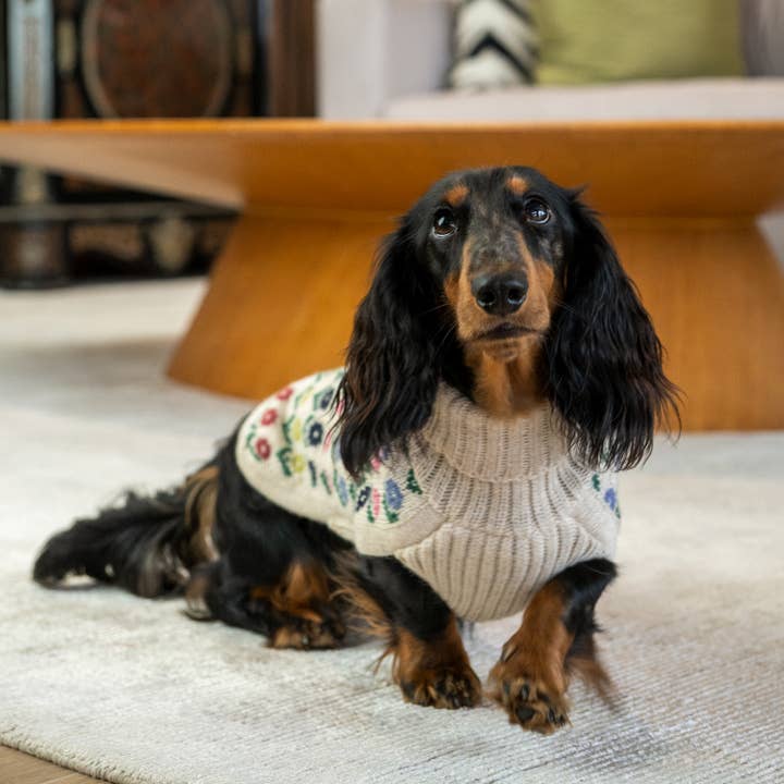 Alqo Wasi - Wholesale Pet Sweater - Dog - Flower Alpaca Dog Sweater8