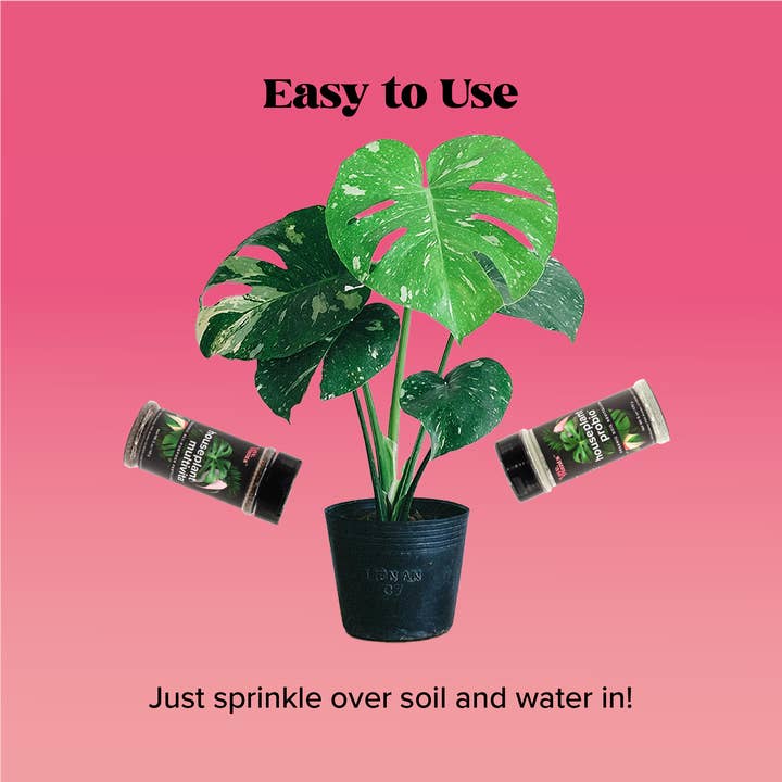 Love, Plants - Wholesale Fertilizer - Houseplant Care Kit - Organic Fertilizer and Soil Supplement