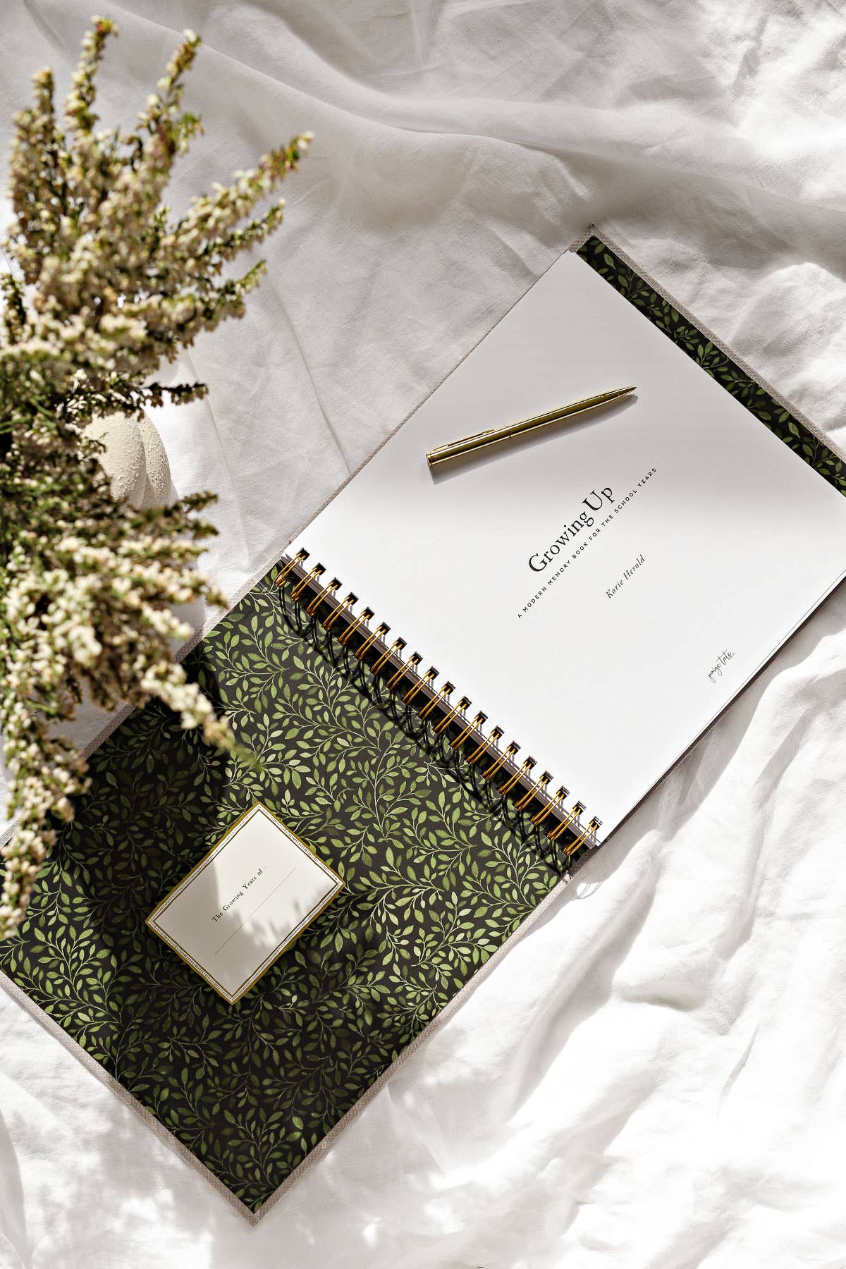 Paige Tate & Co. - Venta al por mayor Libro de recuerdos - Niños y bebés - Crecer: un libro de recuerdos moderno para los años escolares1