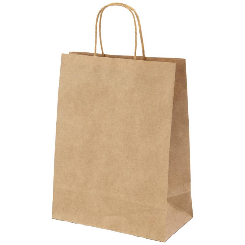 Deffrennes - Wholesale Grocery/Shopping Bag - Rectangular kraft bag with brown twisted handles 23x12x30 cm1