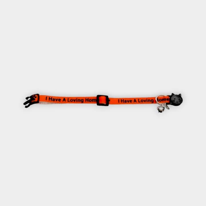 Zacal Cat Collars – wholesale Pet collar – Cat – I Have A loving Home' Kitten Collar - Orange