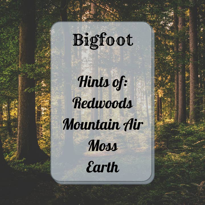 Steamtowers - Vente Produit structurant pour la barbe - Huile à barbe parfumée Bigfoot2