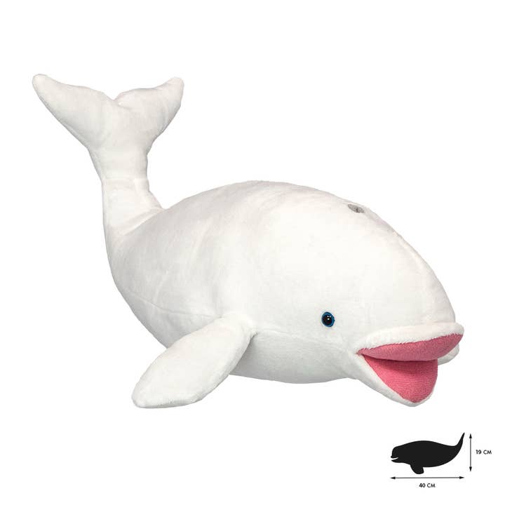 All About Nature Beluga for wholesale by Wild Planet