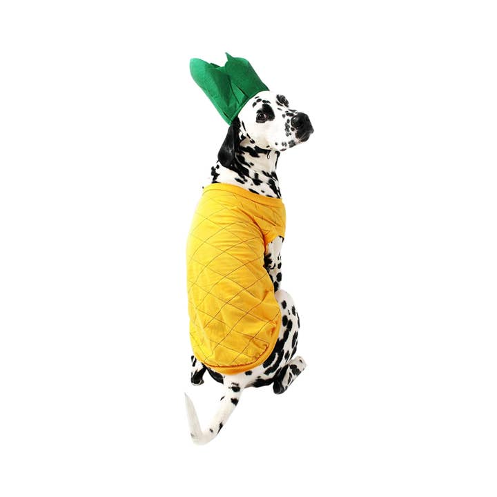 Midlee Designs – wholesale Pet costume – Dog – Midlee Pineapple Dog Costume6