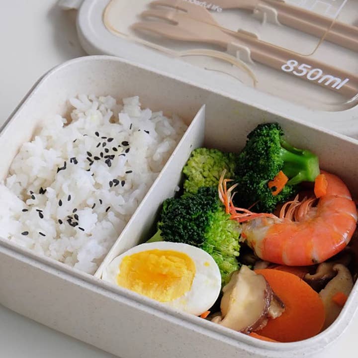 MinoCraft - Wholesale Lunch Bag/Box - Daily bento box with airtight clip-on lid5