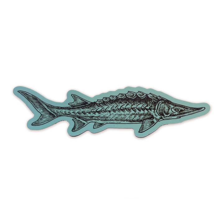 The Wild Wander - Wholesale Sticker - Sturgeon Sticker
