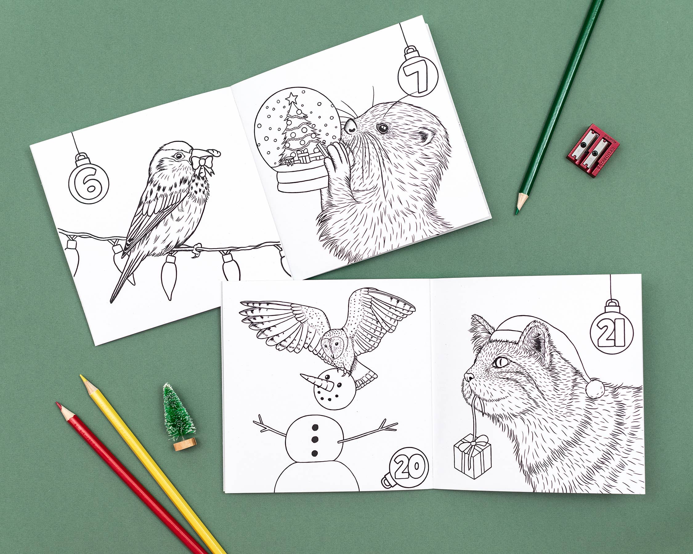 Wild Lines - Wholesale Coloring & Activity Book - Kids & Baby - Wild Advent Colouring Book - Kids Advent Calendar Activity1