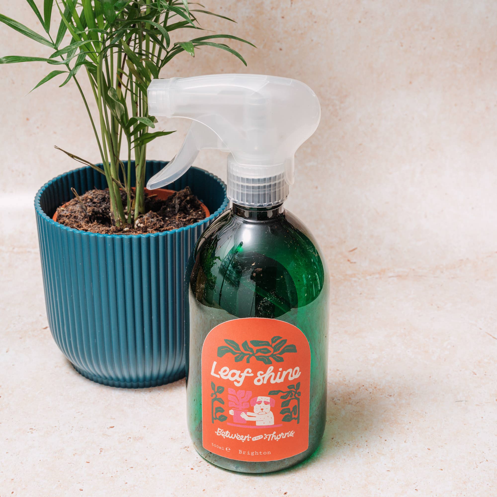 Between Two Thorns – wholesale Fertiliser – Leaf Shine1