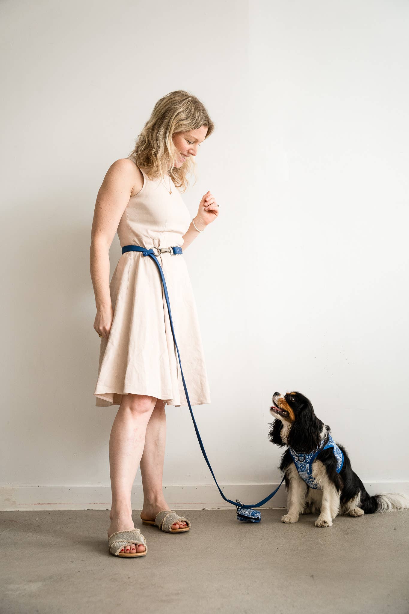 Cavology - Wholesale Pet Leash - Dog - DOG LEASH HANDS FREE MULTIWAY WEATHERPROOF PVC NAVY BLUE4