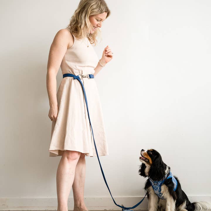 Cavology - Venta al por mayor Correa - Perros - CORREA DE PERRO, MANOS LIBRES, MULTIDIRECCIONAL, DE PVC, RESISTENTE A LA INTEMPERIE, AZUL MARINO4