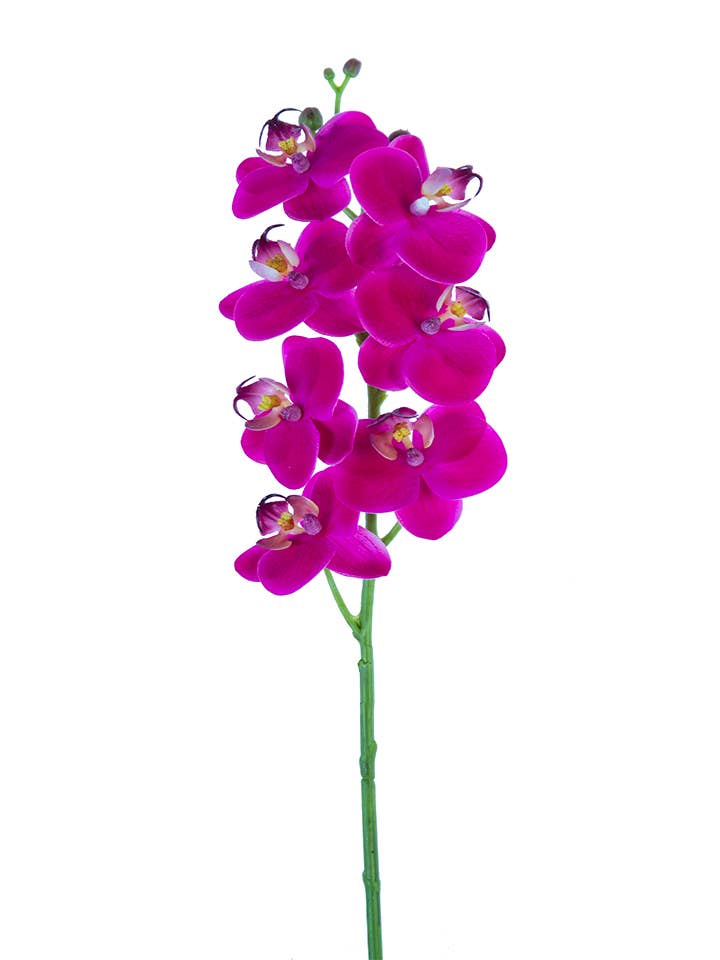 American Best - Wholesale Artificial Flowers - 24" REAL TOUCH PHALAENOPSIS0