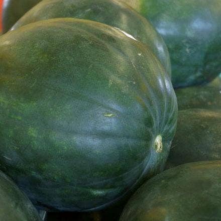 Sow True Seed - Wholesale Plant Seeds - Watermelon Seeds - Sugar Baby2