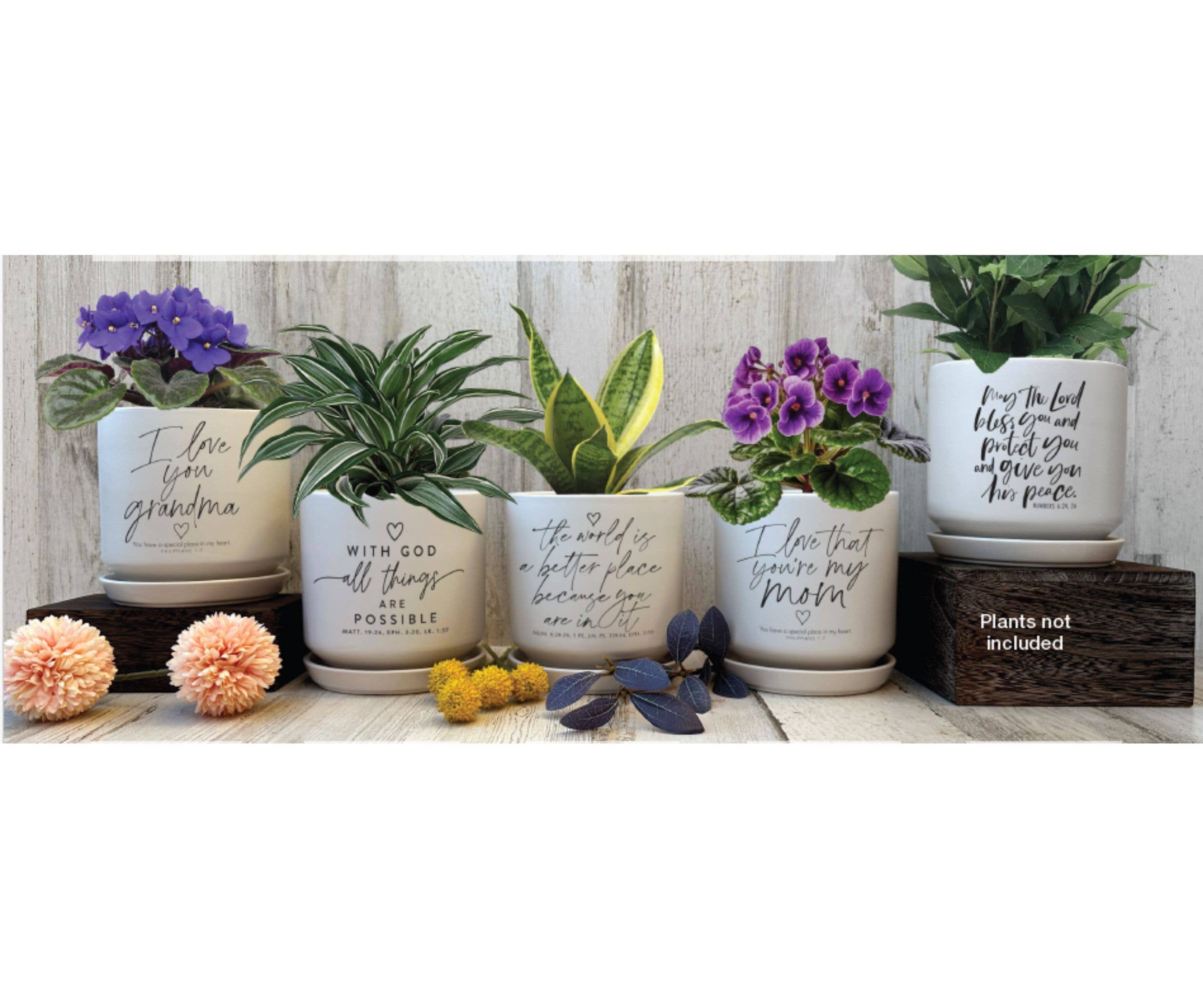 Dicksons - Wholesale Plant Pot - LCP Planter The World Is A Better Place2