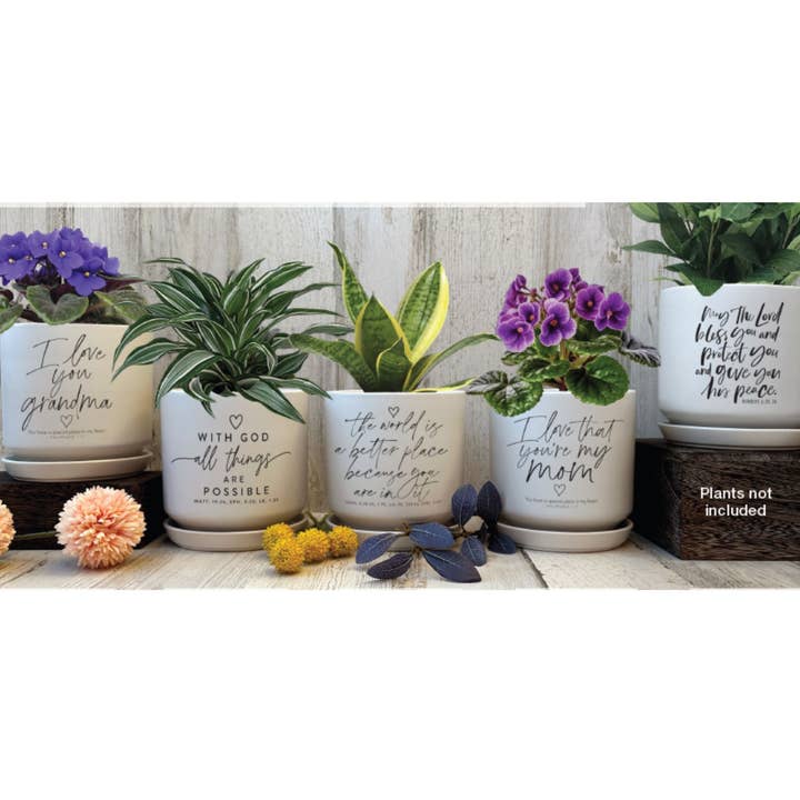 Dicksons - Wholesale Plantenpot - LCP Planter De Wereld Is Een Betere Plek2