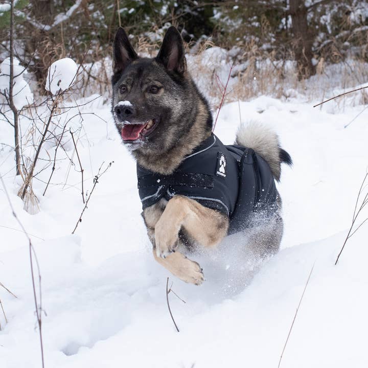 Shedrow K9 - Wholesale Pet Coat - Dog - Shedrow K9 Vail Dog Coat - Black w/ Black Trim11