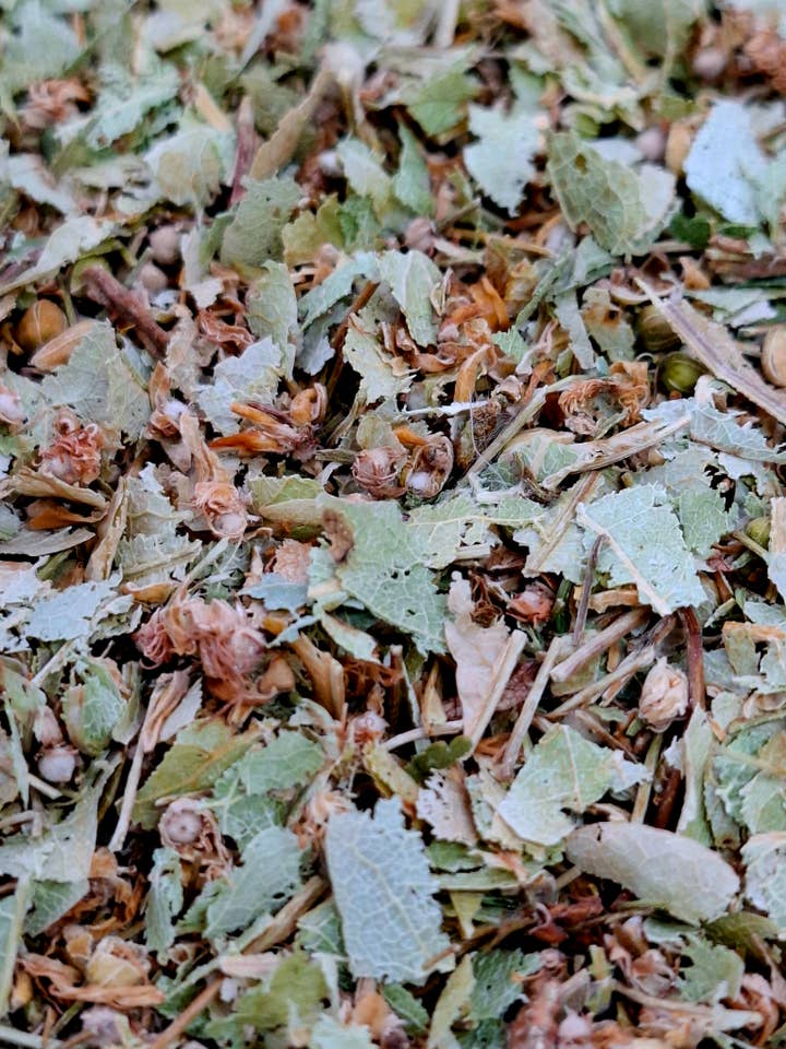 Feuille de tilleul (Tilia cordata Miller) 1 kg pour la vente par CADUCEUS kruidenapotheek