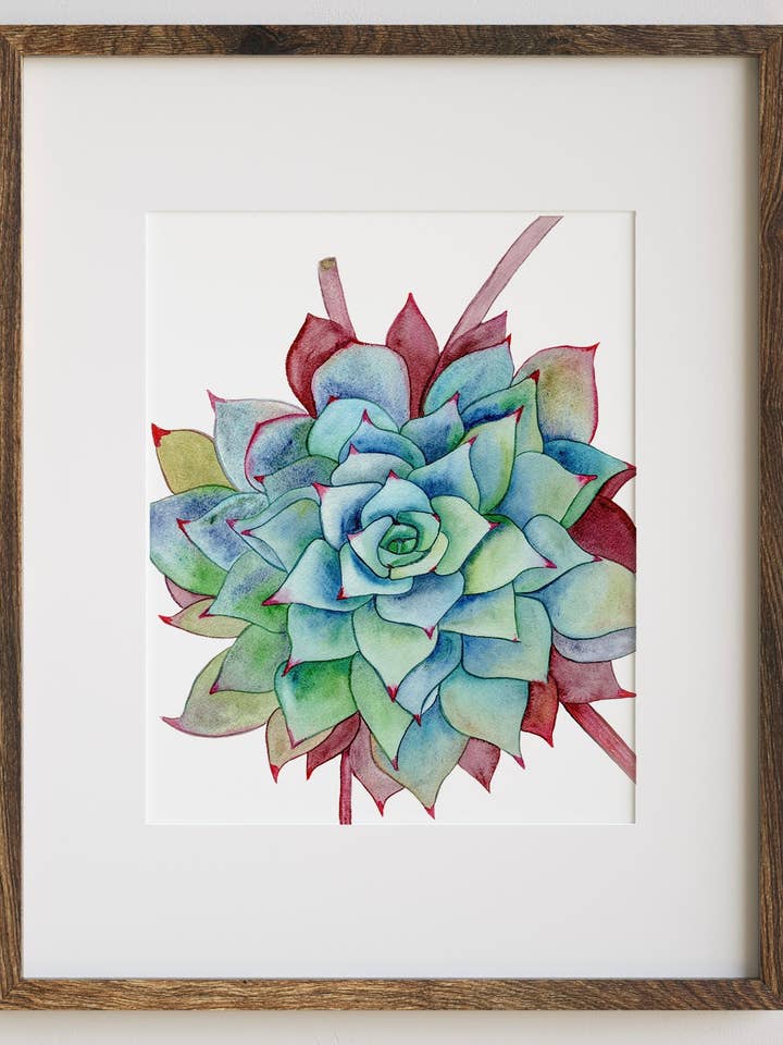 Firework Succulent Art Print for wholesale by Jradartdesign