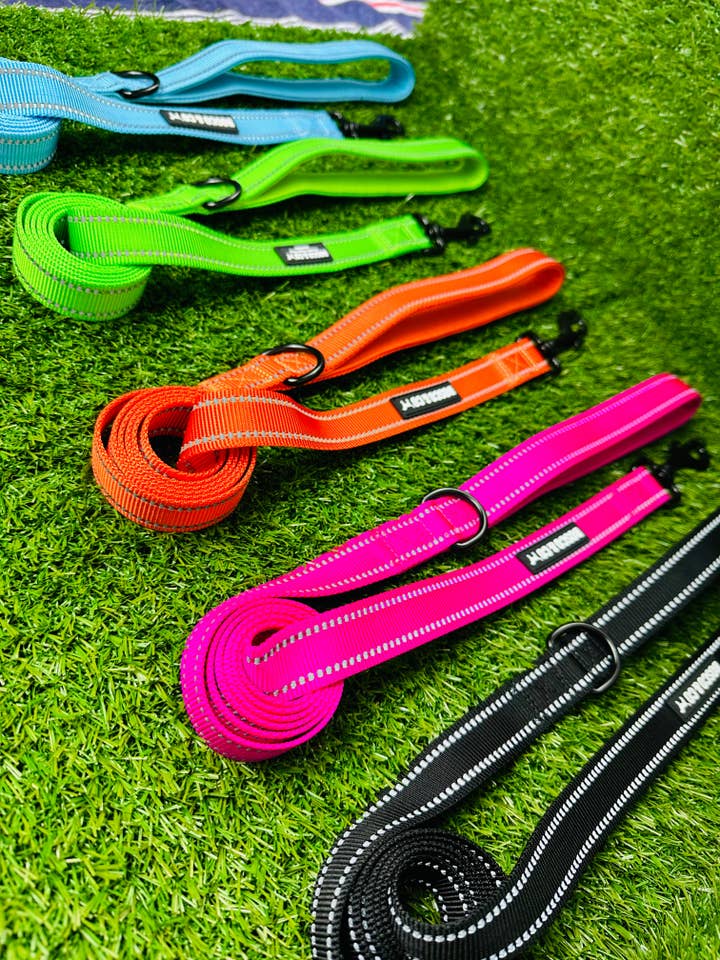Plain Dog Leads for wholesale by Bosco & Co