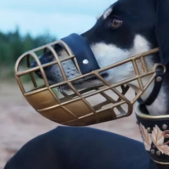 Plastic muzzle - greyhound size for wholesale by Muzzle & Snout