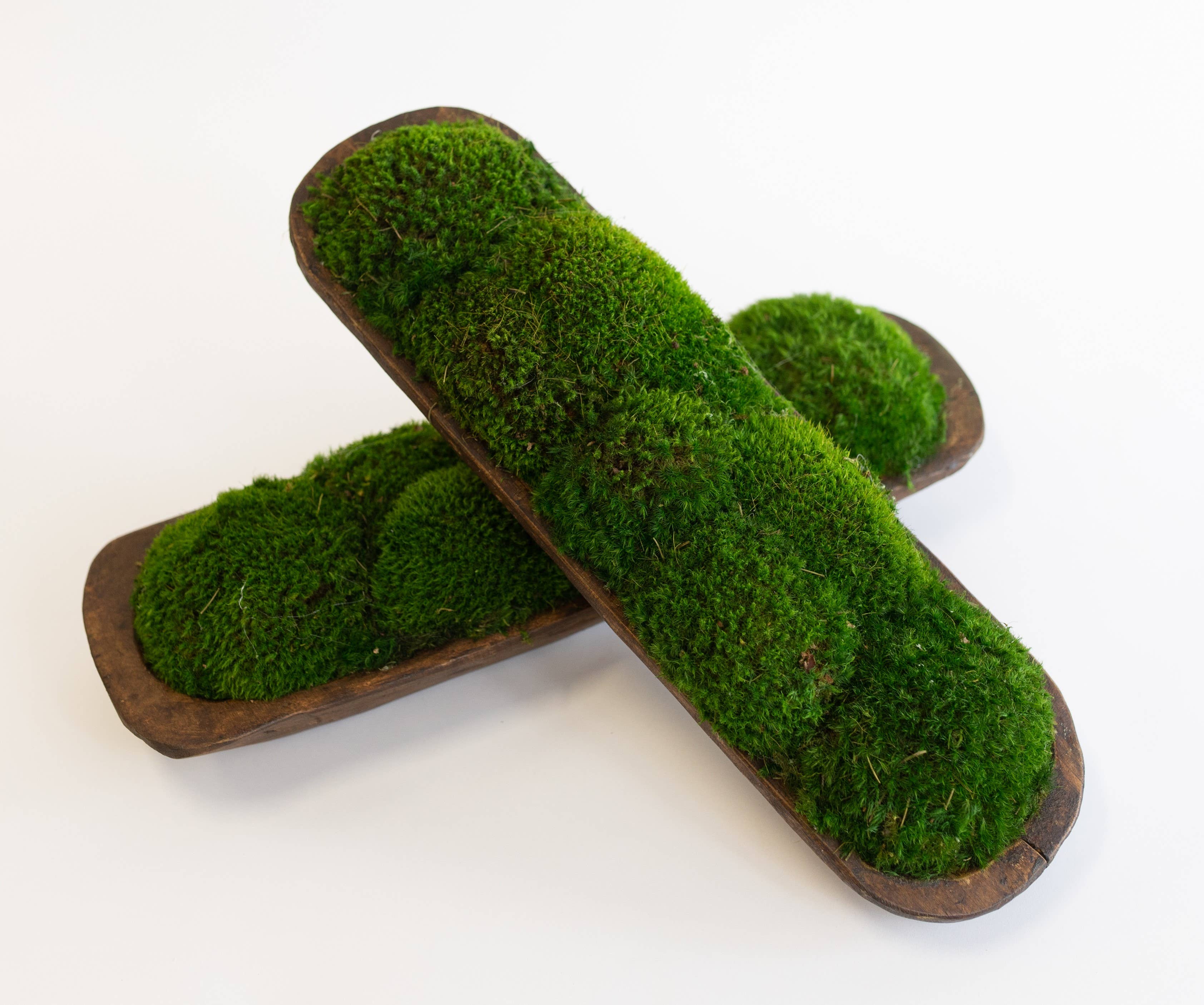 Forever Green Art - Wholesale Decorative Plate/Dish/Bowl - Preserved Mood Moss in Small Bread Bowl5