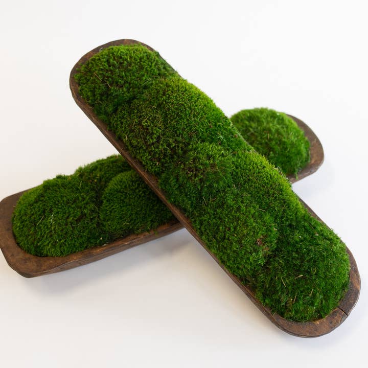 Forever Green Art - Wholesale Decorative Plate/Dish/Bowl - Preserved Mood Moss in Small Bread Bowl5