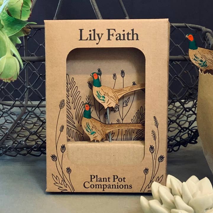 Companheiros de vaso de plantas de faisão por atacado de Lily Faith