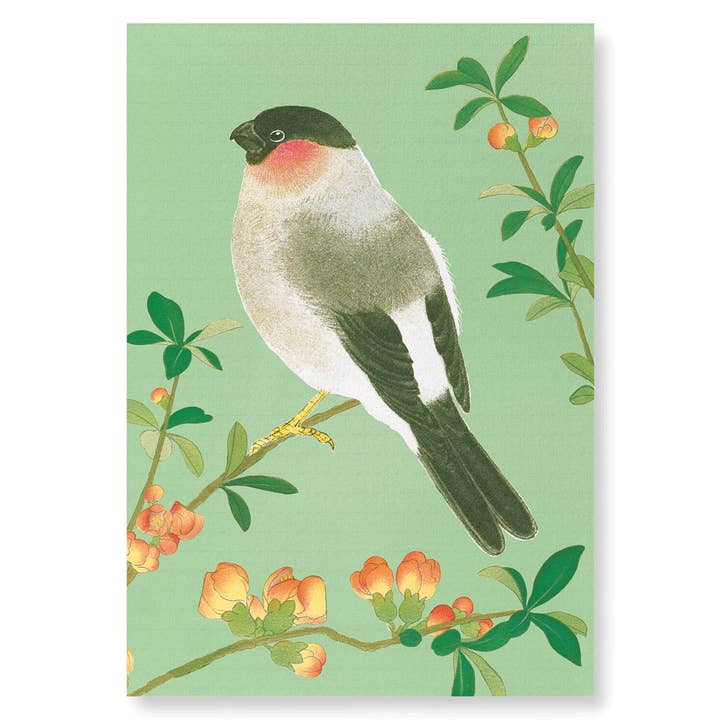 GOUDVINK UIT EURAZIË MET CHINESE KWEEPEER (C.1930): 2xPrints voor wholesale door Ezen Trade