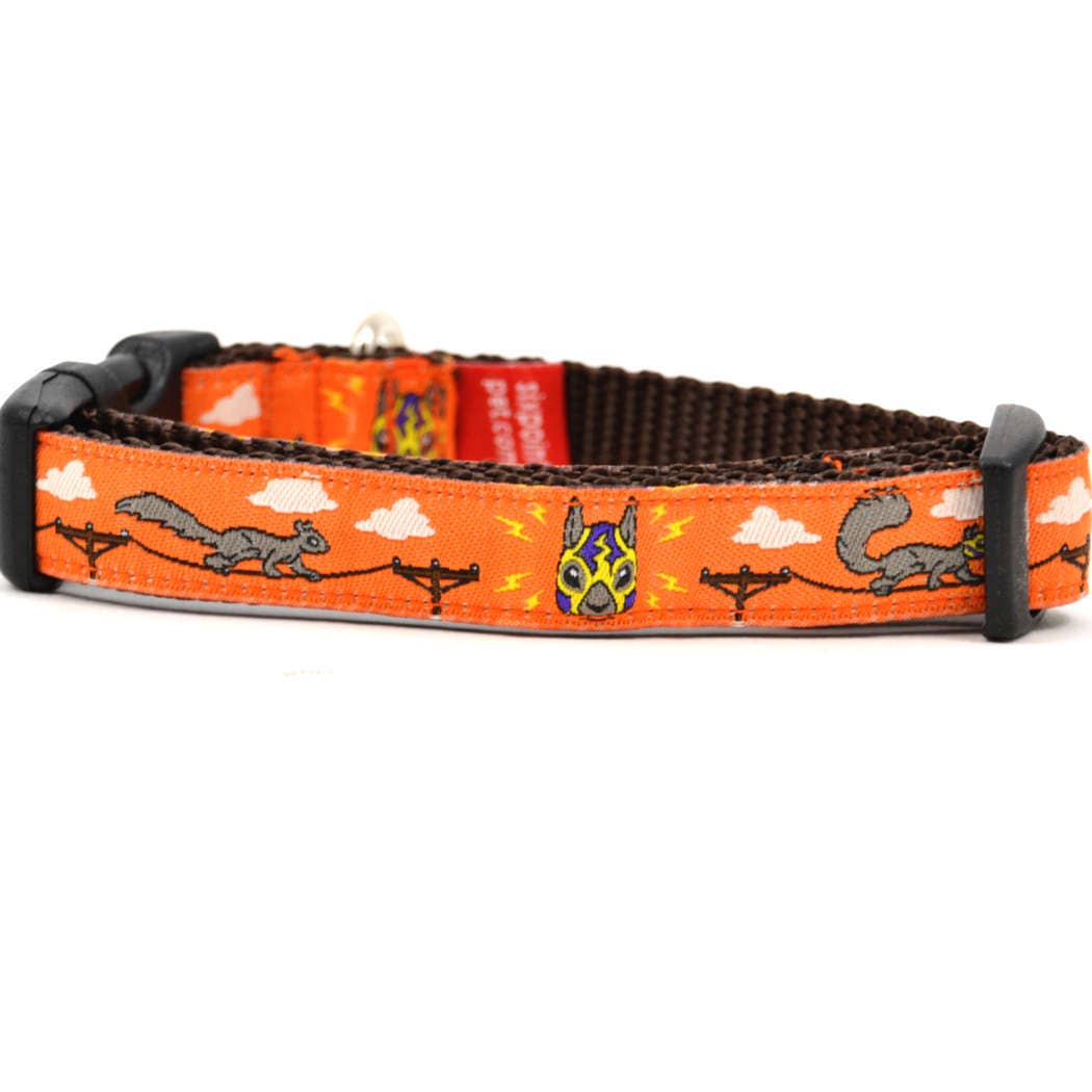 six point pet - Vente Collier – chien - Écureuils Lucha - Orange pétillante2