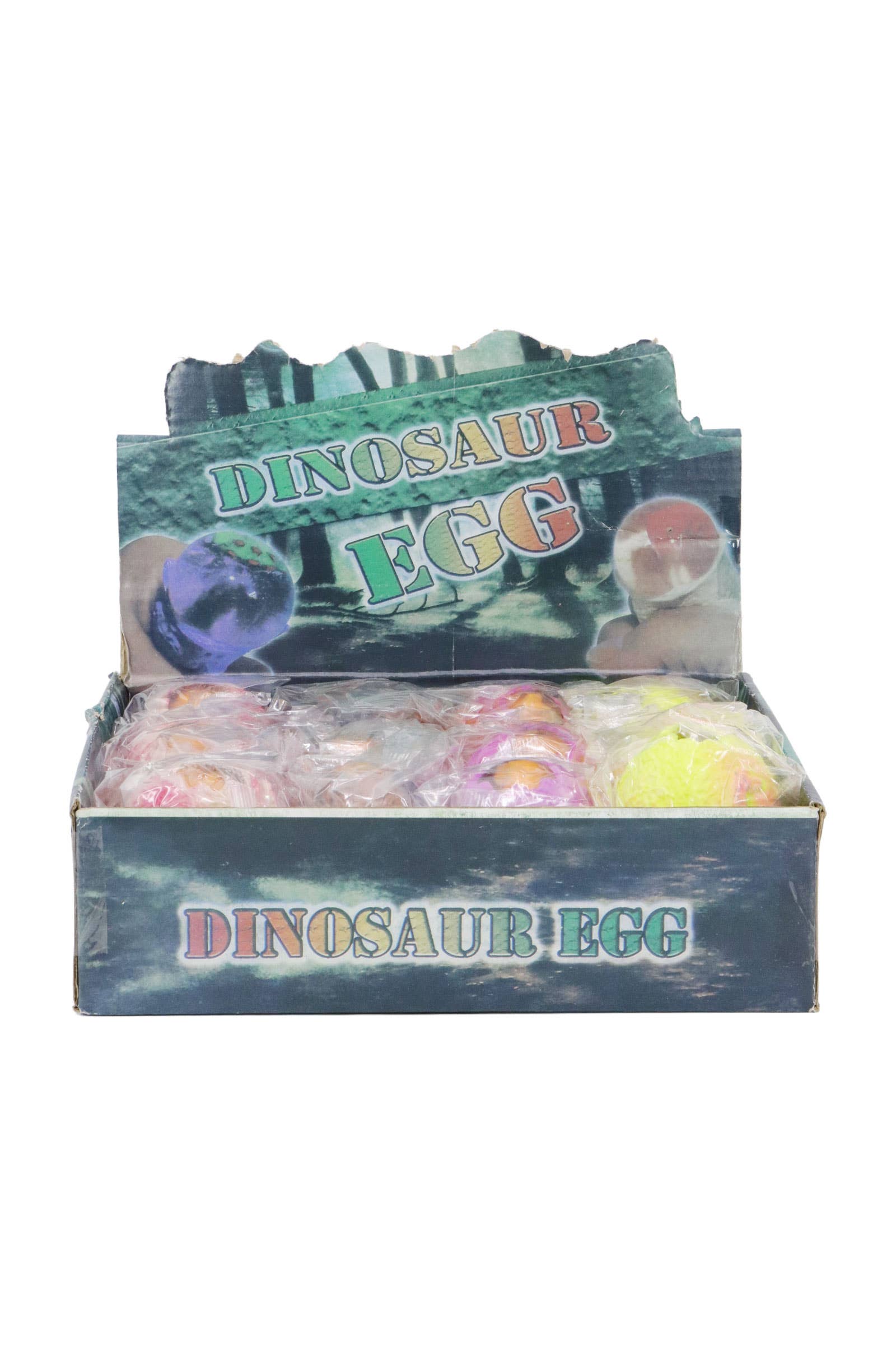 ASSORTED Dinosaur Egg Fossil Figure Water Filled Squishy for wholesale on Faire2
