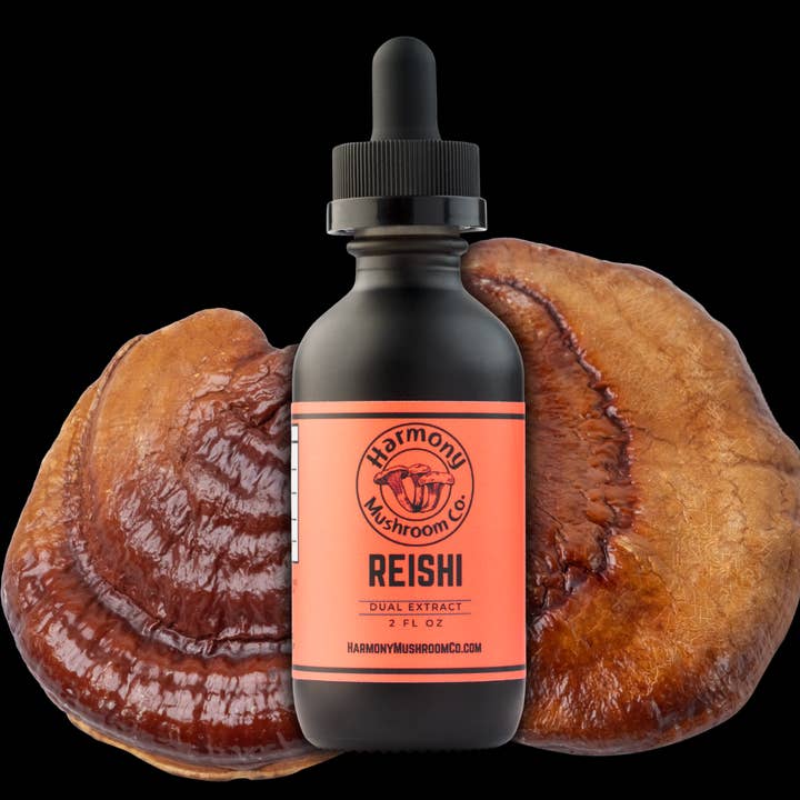 Reishi-Pilz-Doppelextrakt für den Großhandel von Harmony Mushroom Co