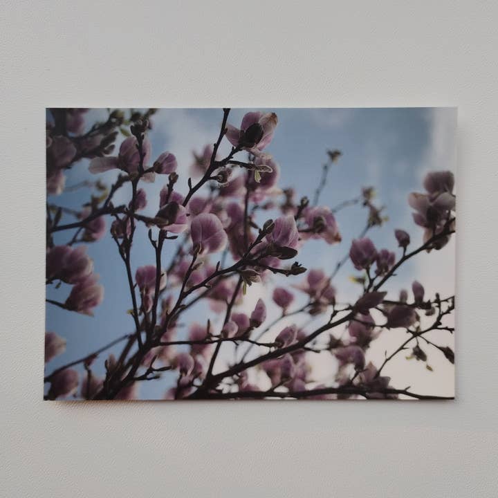 Postal - Árbol de magnolia (1031) para venta al por mayor de SannCards
