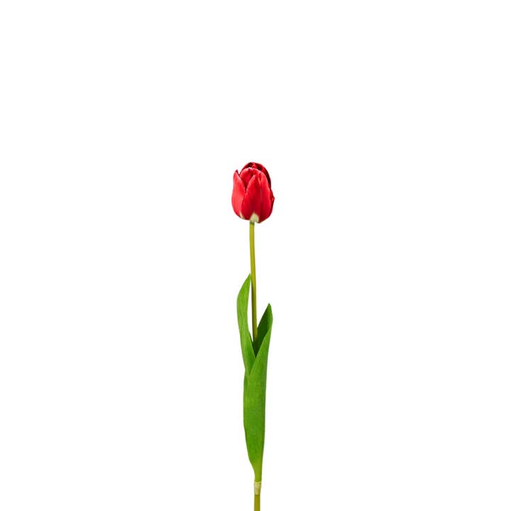 Wildflowers by Floriette - Vendita all'ingrosso Fiori finti - Tulipano artificiale Soft Touch 50 cm - Rosso