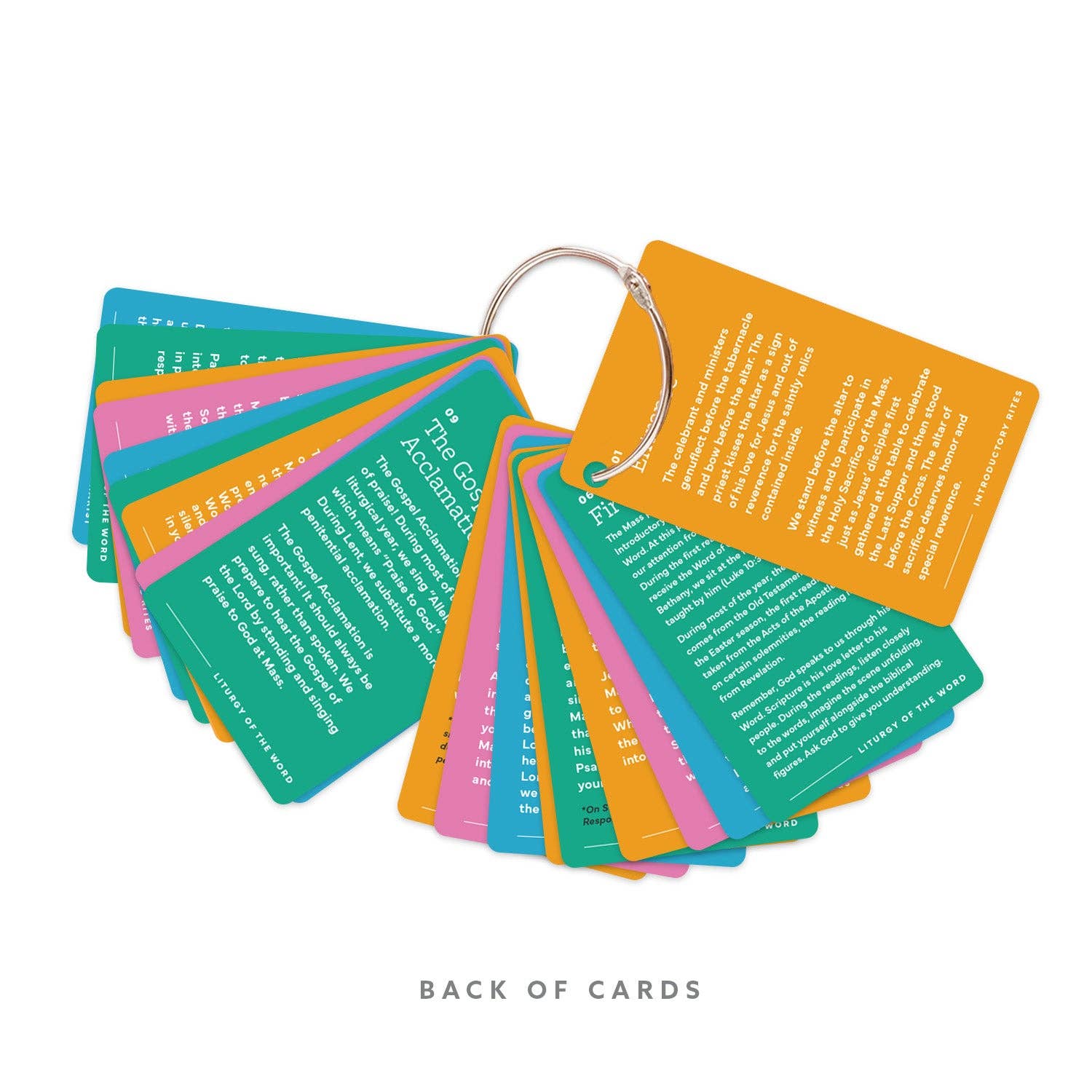 Catholic Family Crate® - Wholesale Learning Cards - Kids & Baby - Parts of the Mass Ring1