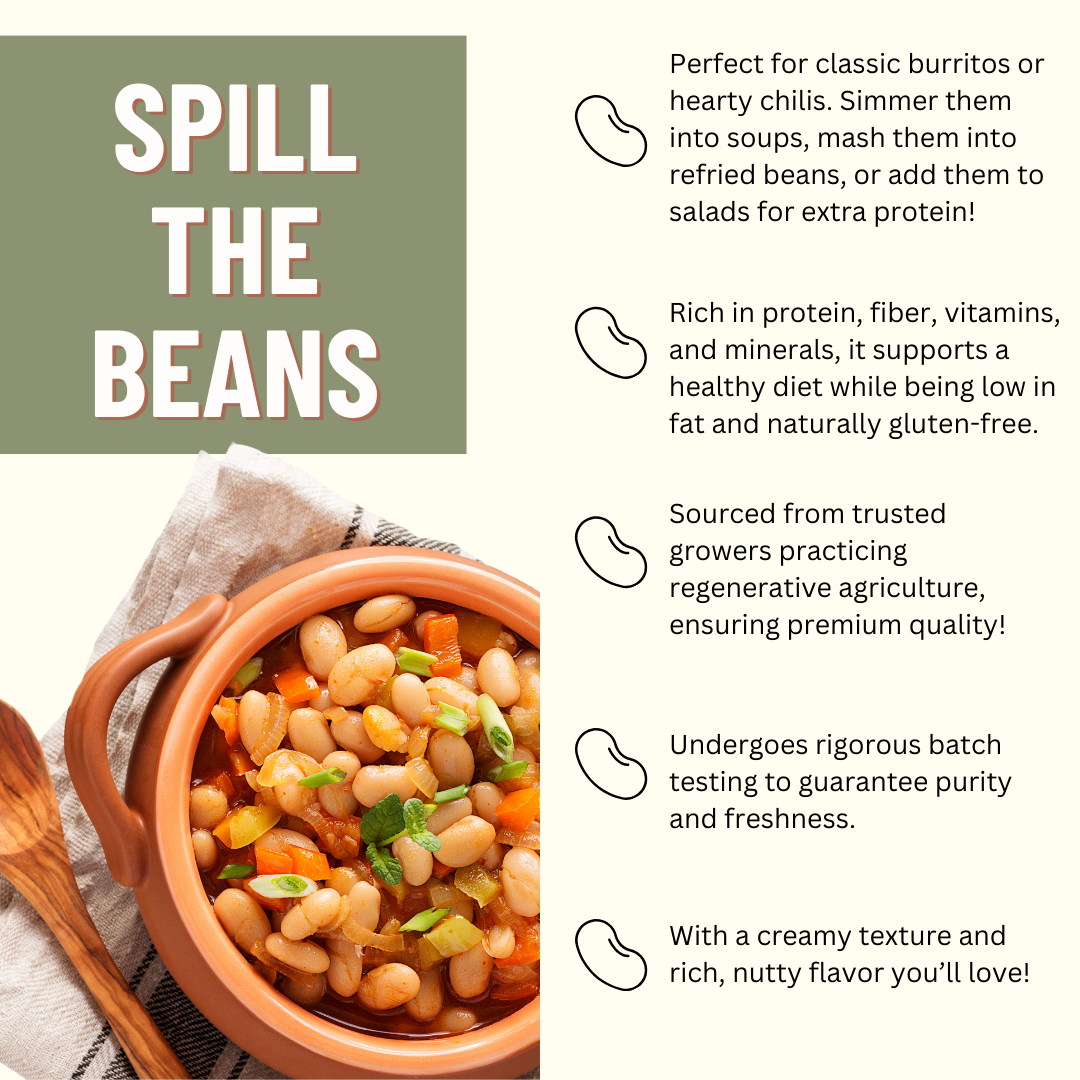 Mountain High Organics - Vente Légumineuses - Haricots Pinto Bio, 1lb. (lot de 6) - Mountain High Organics3