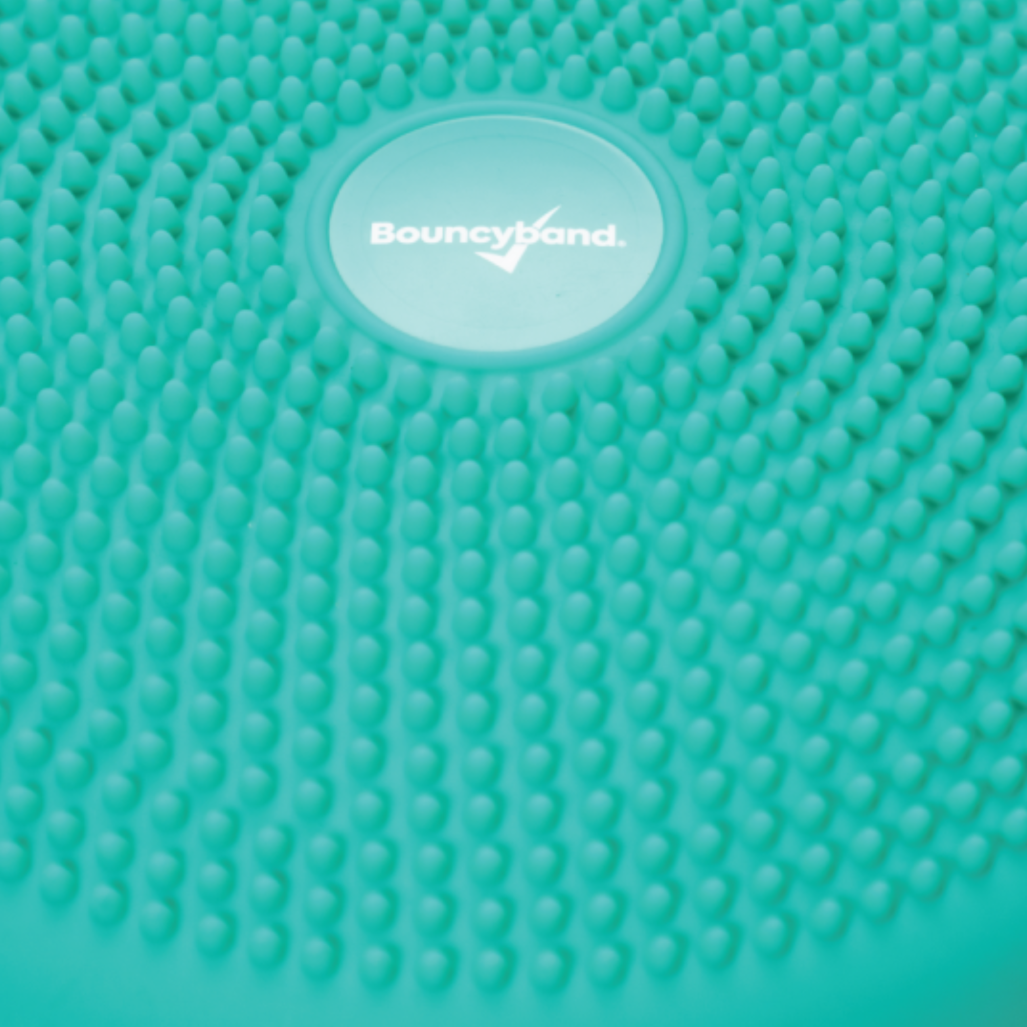 Bouncyband LLC - Wholesale Fidget Toy - Kids - Portable Wiggle Seat w/ Handle6