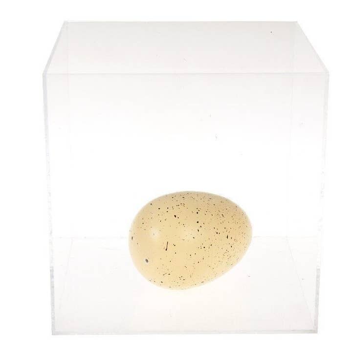 Rex London UK - Wholesale Classic Toy - Kids - Giant Hatching Dinosaur Egg - Prehistoric Land