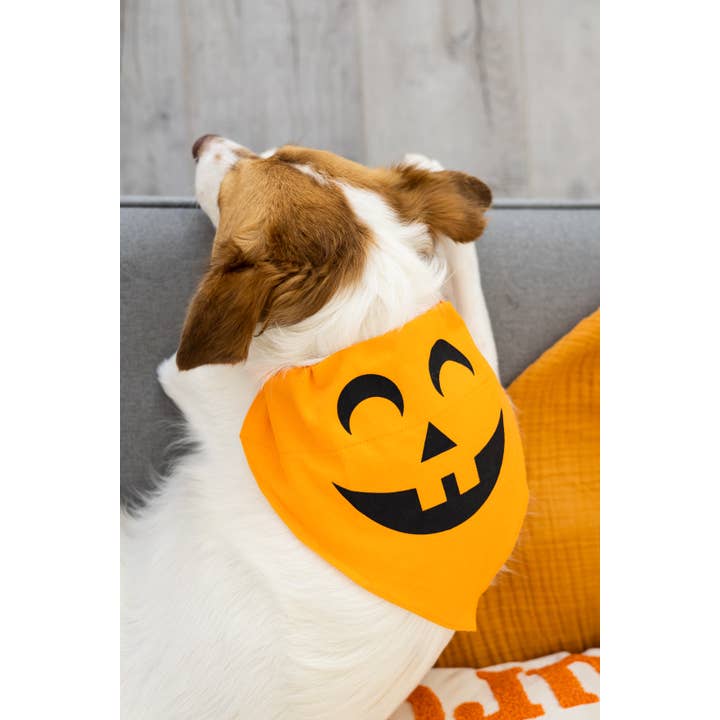 Pearhead - Wholesale Pet Bandana - Dog - Pumpkin Dog Halloween Bandana, M/L