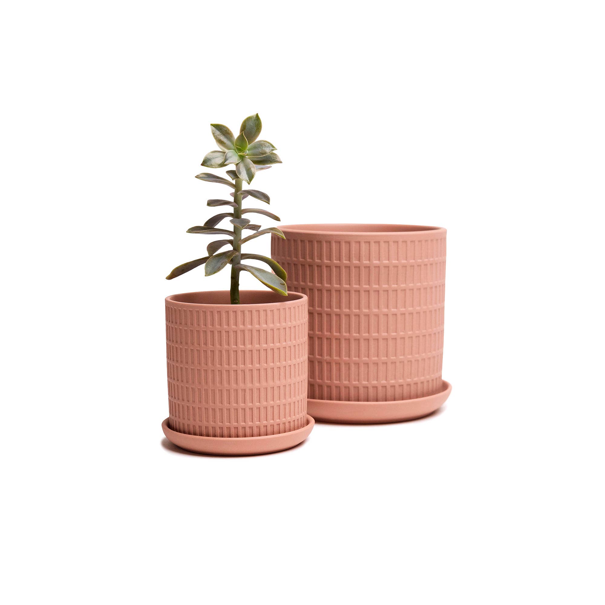 Chive - Wholesale Plant Pot - Handmade Ceramic Virago Pots | Artisan Plant Planters3